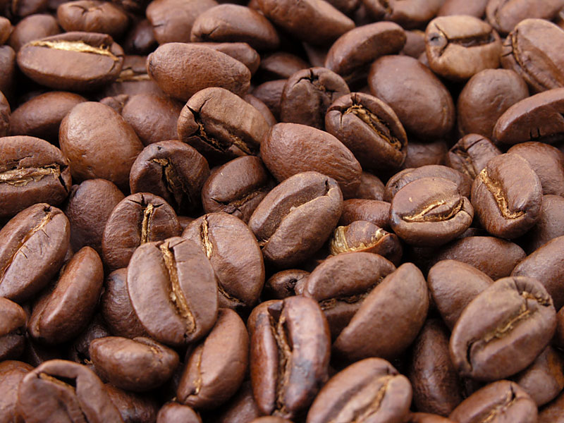 Coffee Beans Manufacturer Supplier Wholesale Exporter Importer Buyer Trader Retailer in Assam Assam India